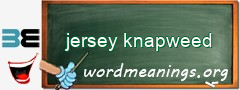 WordMeaning blackboard for jersey knapweed